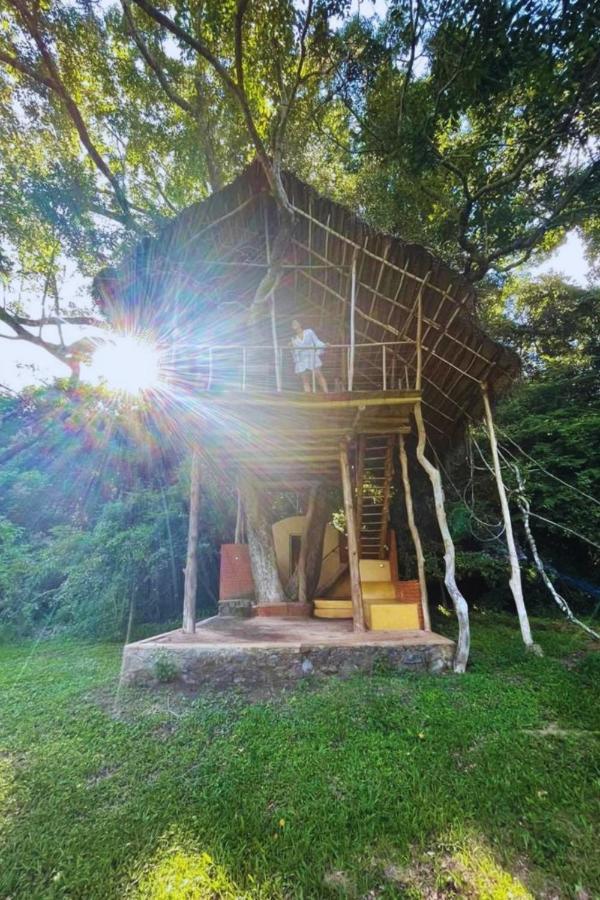 シギリヤ Back Of Beyond - Wild Havenヴィラ エクステリア 写真