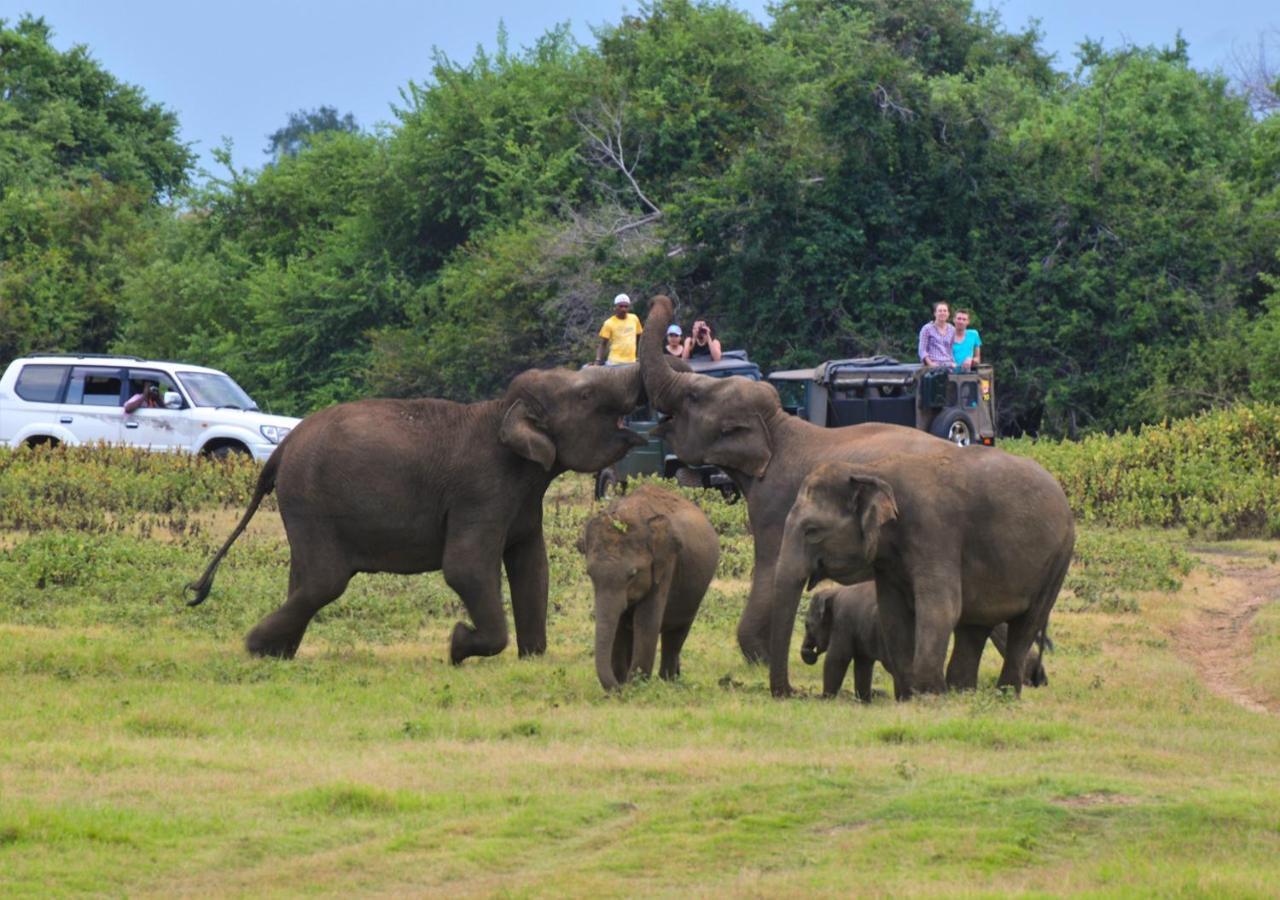 シギリヤ Back Of Beyond - Wild Havenヴィラ エクステリア 写真